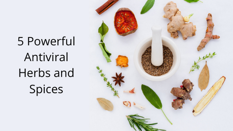 Antiviral Herbs and Spices – Beyond Basic Immunity Boosters