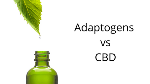 adaptogens vs cbd for stress